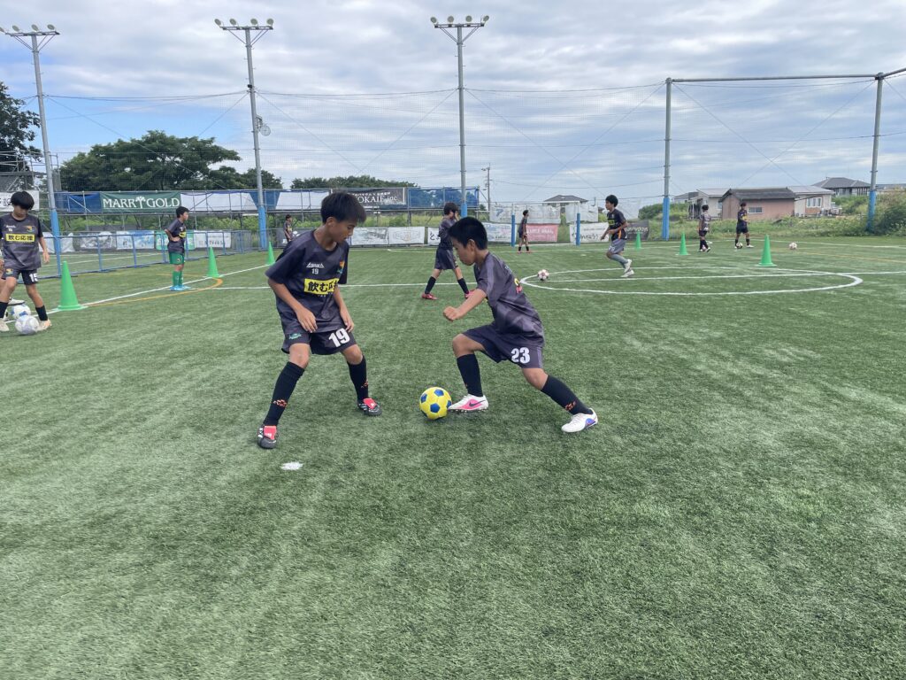 23期生。